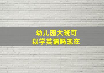 幼儿园大班可以学英语吗现在