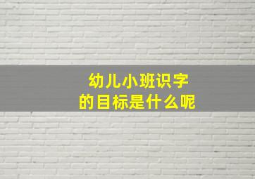 幼儿小班识字的目标是什么呢