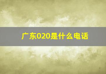 广东020是什么电话