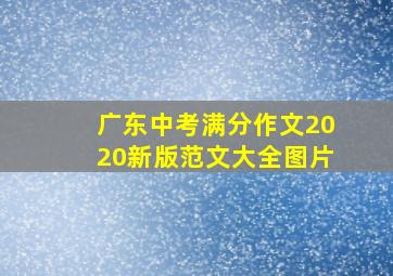 广东中考满分作文2020新版范文大全图片