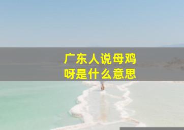 广东人说母鸡呀是什么意思