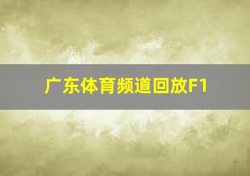 广东体育频道回放F1