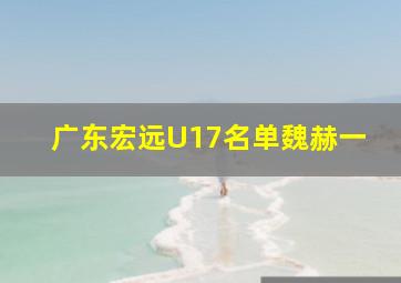 广东宏远U17名单魏赫一