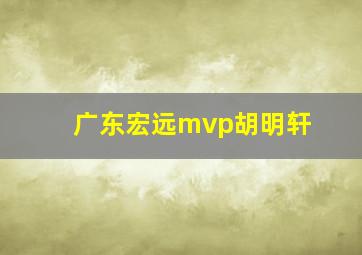 广东宏远mvp胡明轩