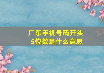 广东手机号码开头5位数是什么意思