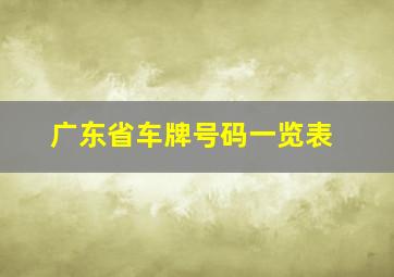 广东省车牌号码一览表