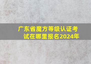 广东省魔方等级认证考试在哪里报名2024年