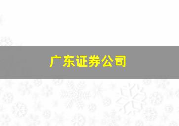 广东证券公司