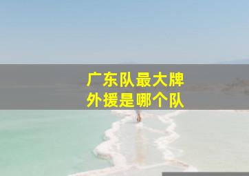 广东队最大牌外援是哪个队