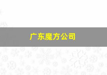 广东魔方公司