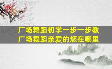 广场舞蹈初学一步一步教广场舞蹈亲爱的您在哪里