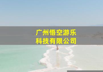 广州悟空游乐科技有限公司