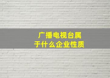 广播电视台属于什么企业性质