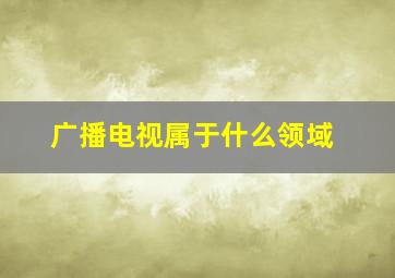 广播电视属于什么领域