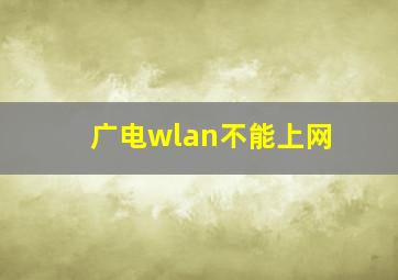 广电wlan不能上网