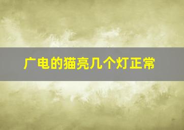 广电的猫亮几个灯正常