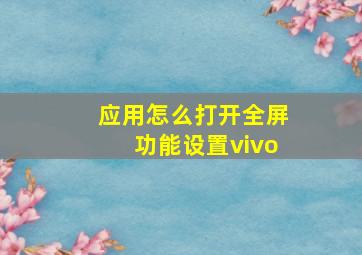 应用怎么打开全屏功能设置vivo