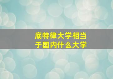 底特律大学相当于国内什么大学