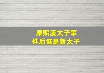 康熙废太子事件后谁是新太子