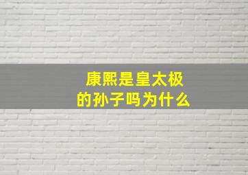 康熙是皇太极的孙子吗为什么