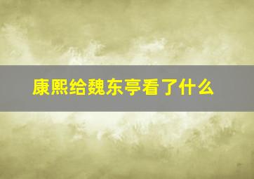 康熙给魏东亭看了什么