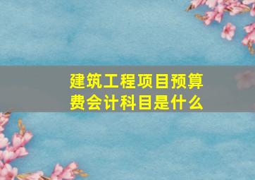 建筑工程项目预算费会计科目是什么