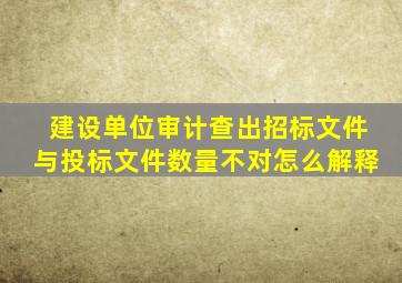 建设单位审计查出招标文件与投标文件数量不对怎么解释