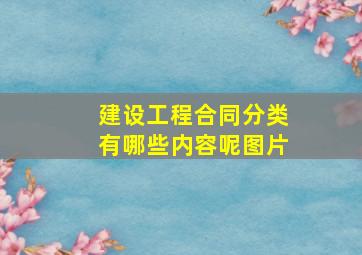 建设工程合同分类有哪些内容呢图片