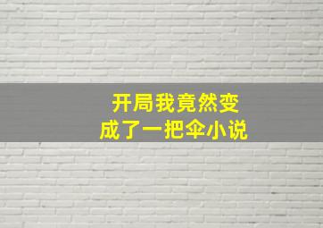 开局我竟然变成了一把伞小说