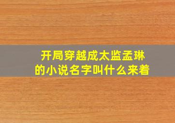 开局穿越成太监孟琳的小说名字叫什么来着