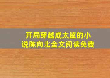 开局穿越成太监的小说陈向北全文阅读免费