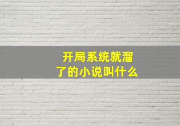 开局系统就溜了的小说叫什么