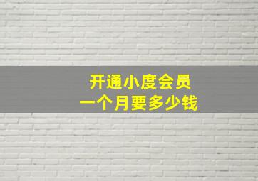 开通小度会员一个月要多少钱