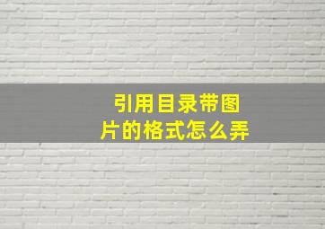 引用目录带图片的格式怎么弄