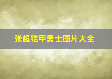 张超铠甲勇士图片大全