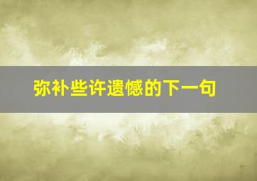 弥补些许遗憾的下一句