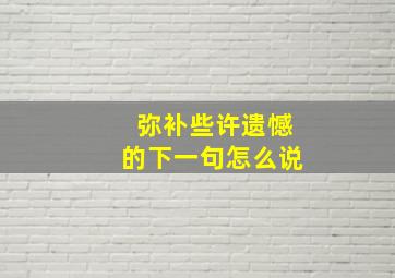 弥补些许遗憾的下一句怎么说