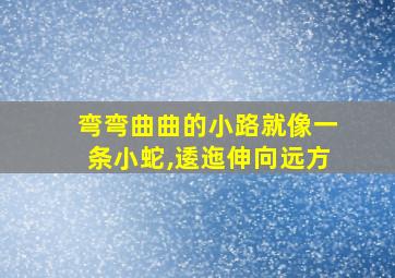 弯弯曲曲的小路就像一条小蛇,逶迤伸向远方