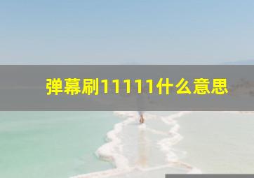 弹幕刷11111什么意思