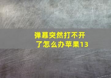 弹幕突然打不开了怎么办苹果13