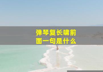 弹琴复长啸前面一句是什么