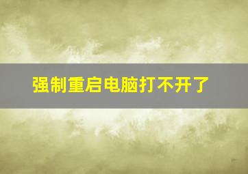 强制重启电脑打不开了