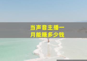 当声音主播一月能赚多少钱