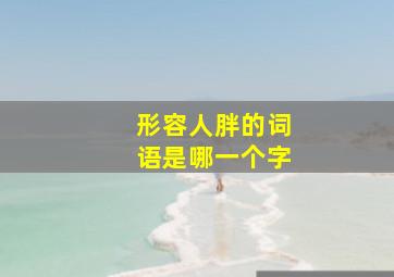 形容人胖的词语是哪一个字