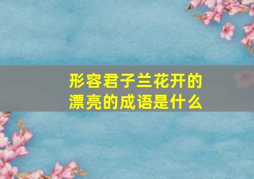 形容君子兰花开的漂亮的成语是什么