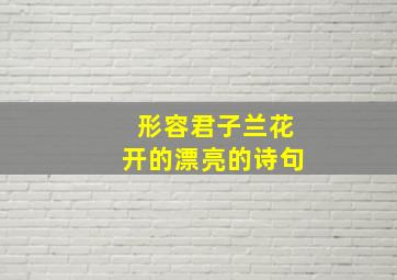 形容君子兰花开的漂亮的诗句