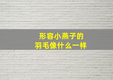 形容小燕子的羽毛像什么一样