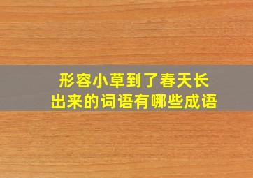 形容小草到了春天长出来的词语有哪些成语