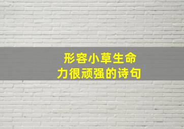 形容小草生命力很顽强的诗句