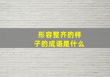 形容整齐的样子的成语是什么